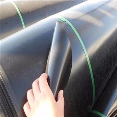 Küresel PVC Geomembran Pazarı Görünümü ve Çin'in Lider Üreticisi